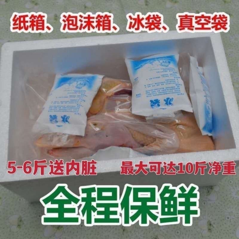 【整只大雁鹅】新鲜9斤大鹅现杀大雁整只鹅鹅肉农家散养坏