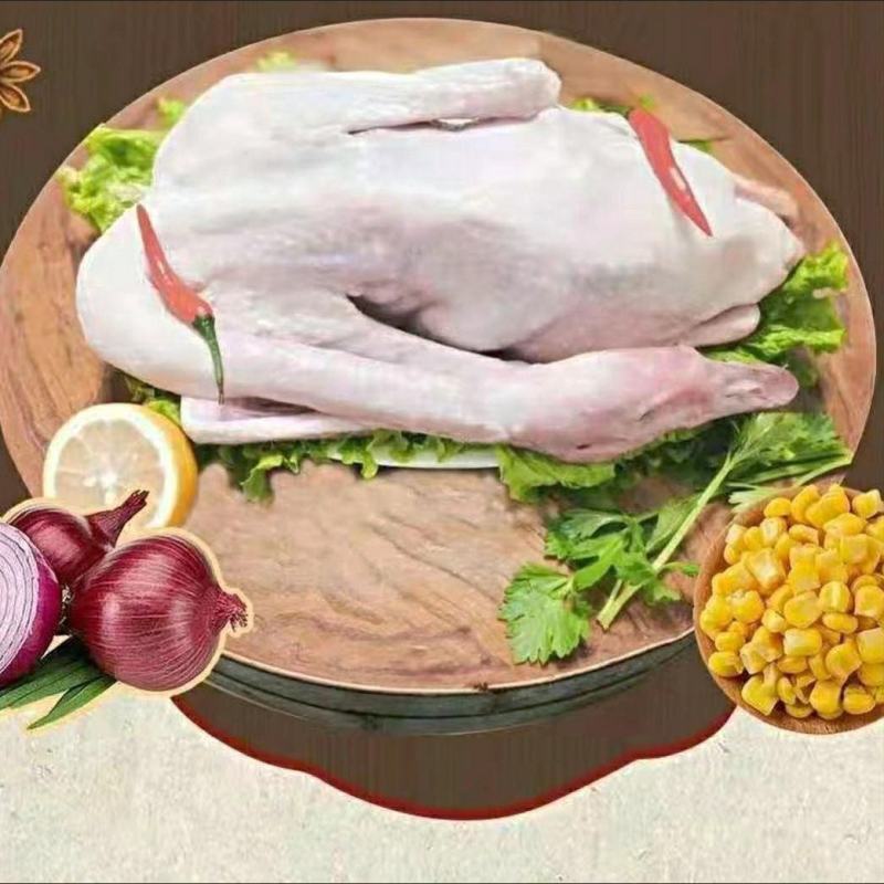 现杀新鲜鹅肉大雁鹅整只鹅散养鹅农家老鹅大白鹅雁鹅极
