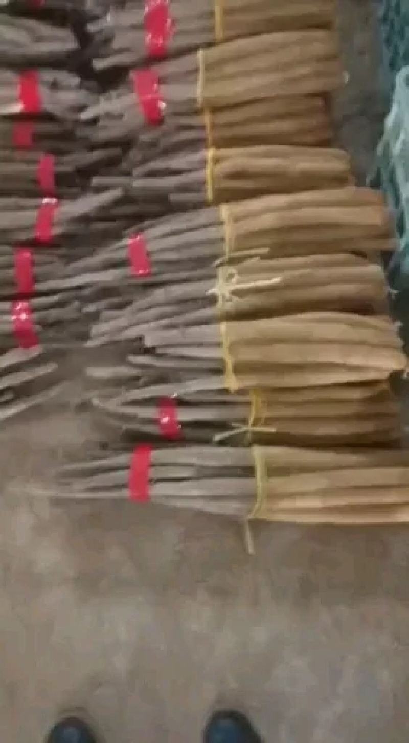 精品网贷白玉山药