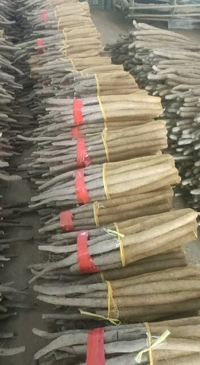 精品网贷白玉山药