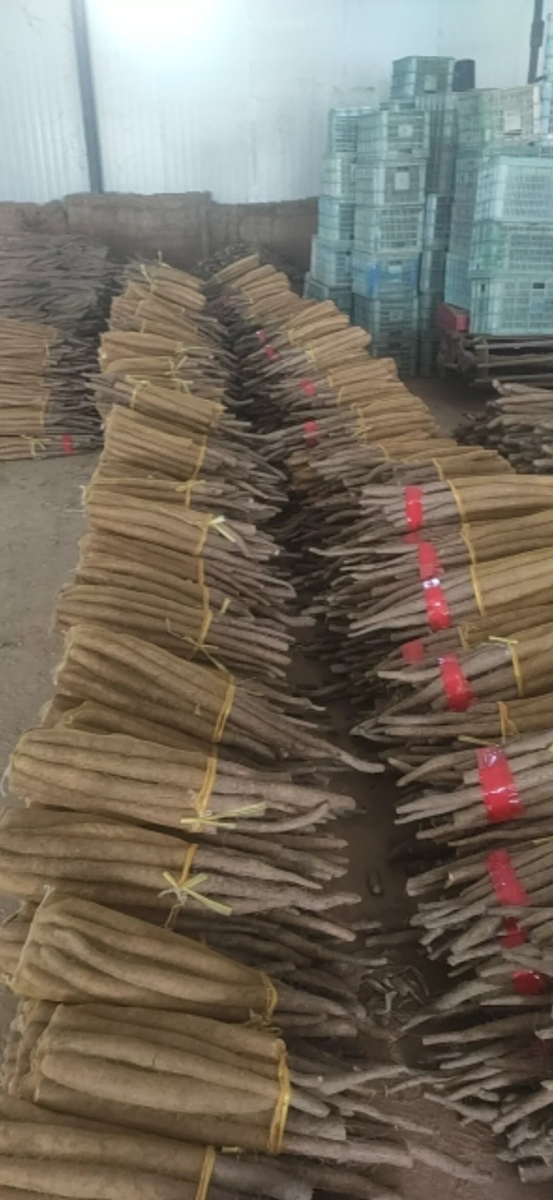 精品网贷白玉山药