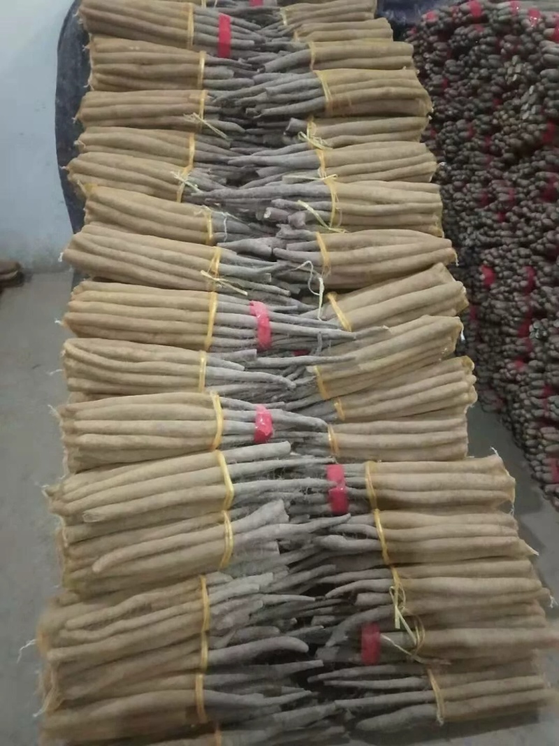 精品网贷白玉山药