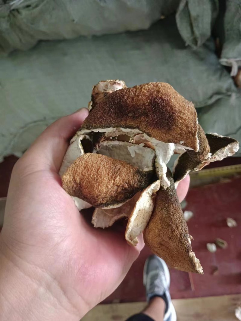 【店家主推】烘干陈皮橙碎打颗粒药厂投料香料打粉大货湖北产
