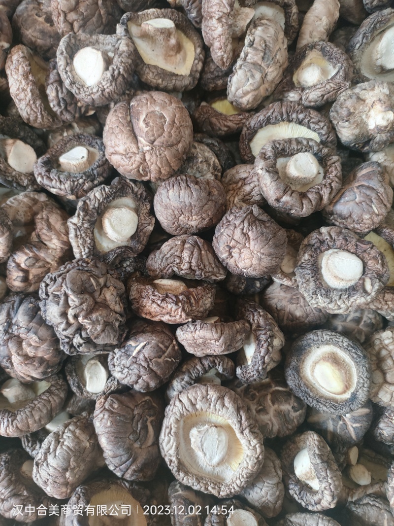 干香菇筛选货剪脚烘干香菇