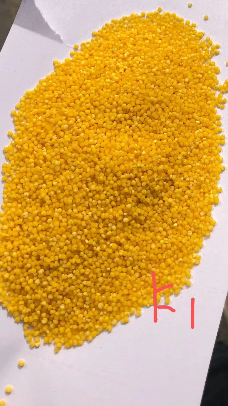 朝阳小米，大黄米
