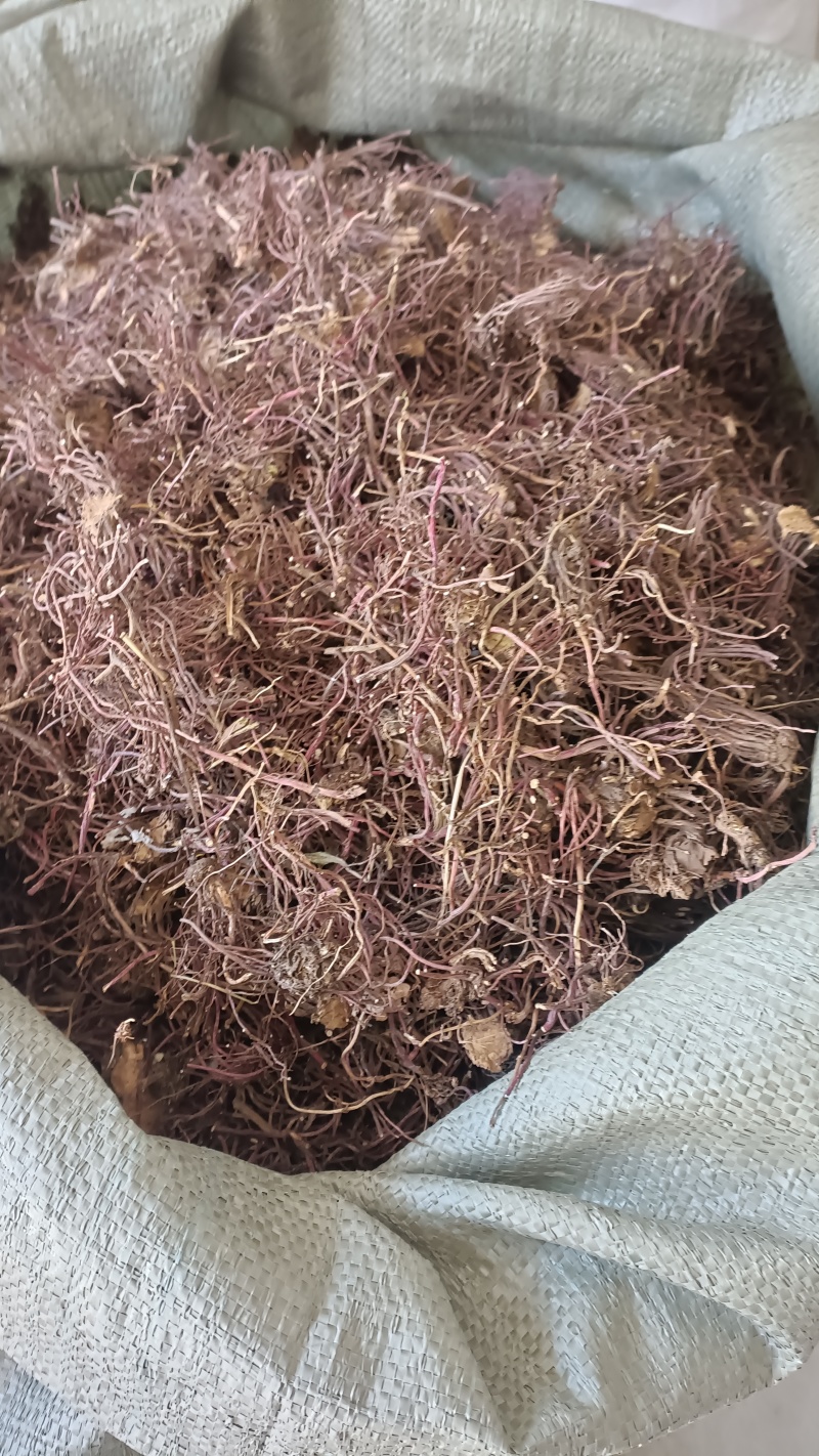 紫菀，新货烘干，水洗货，实物拍照，质量保证，支持在钱下单