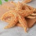 海星泡酒料海星干海盘车海星干货500g煲汤泡酒