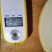 黄河蜜甜瓜苗久红瑞甜瓜苗瑞红甜瓜苗现货直发