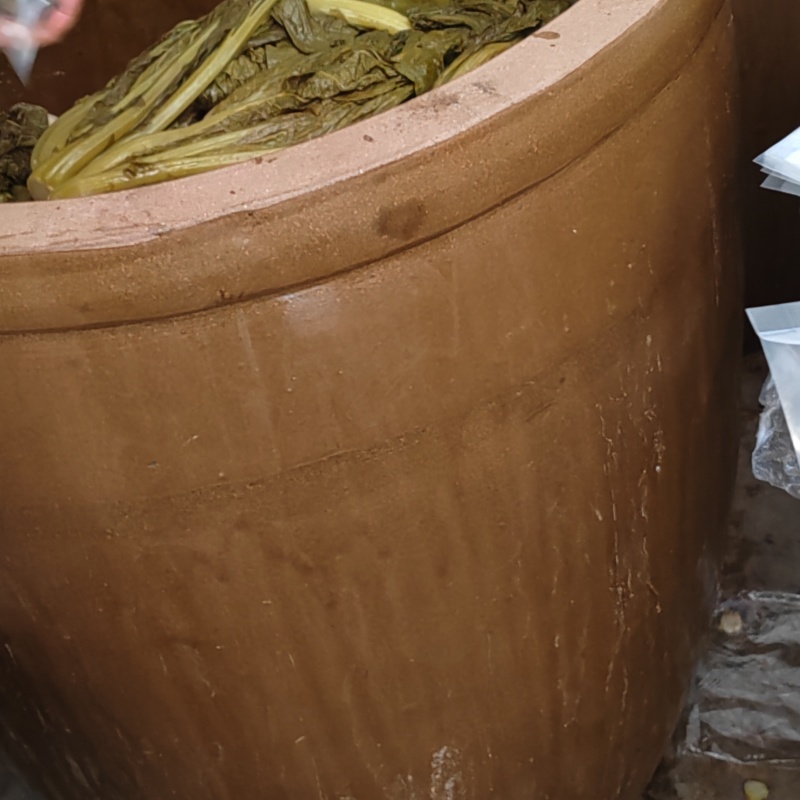 云南沙缸酸菜农家自制无盐酸菜酸汤豆豆专用酸菜开胃