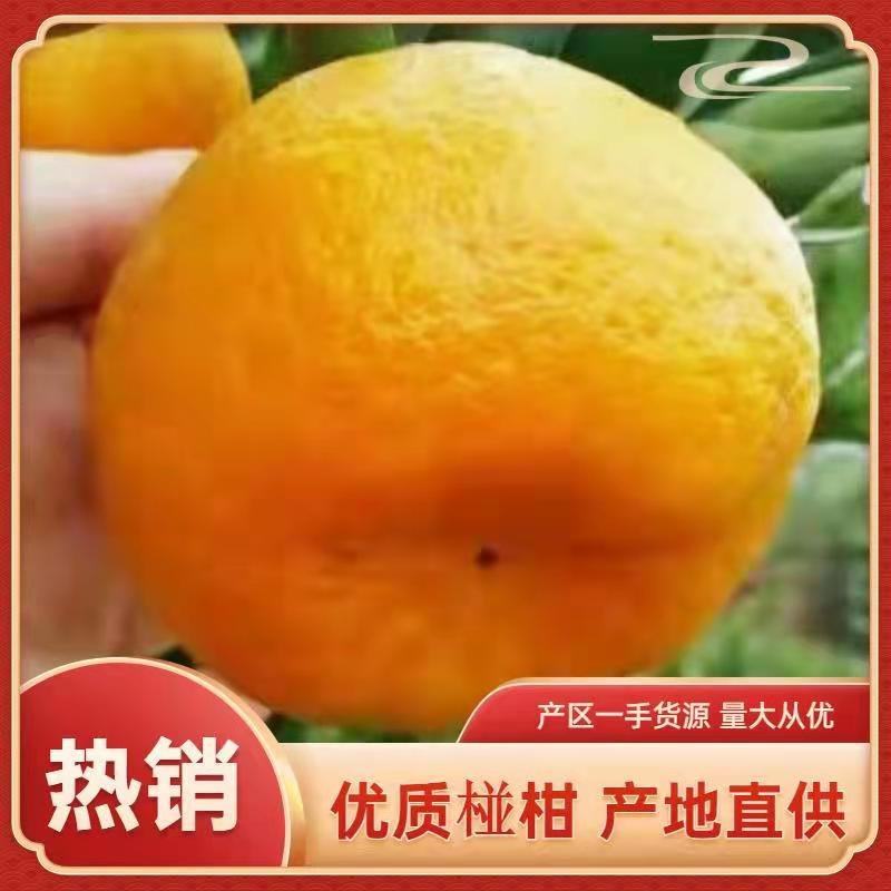 椪柑（芦柑），南丰蜜橘产地批发货源充足看货定园现场采摘