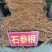 石参根，黄净卖相好无硫，一件代发欢迎有需要的老板来电下单