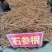 石参根，黄净卖相好无硫，一件代发欢迎有需要的老板来电下单