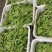 云南精品荷兰豆大量上市中电商商超一件代发社区团购工厂食堂
