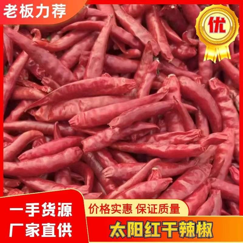 朝天椒红太阳新一代9成干以上大量现货一条龙服务