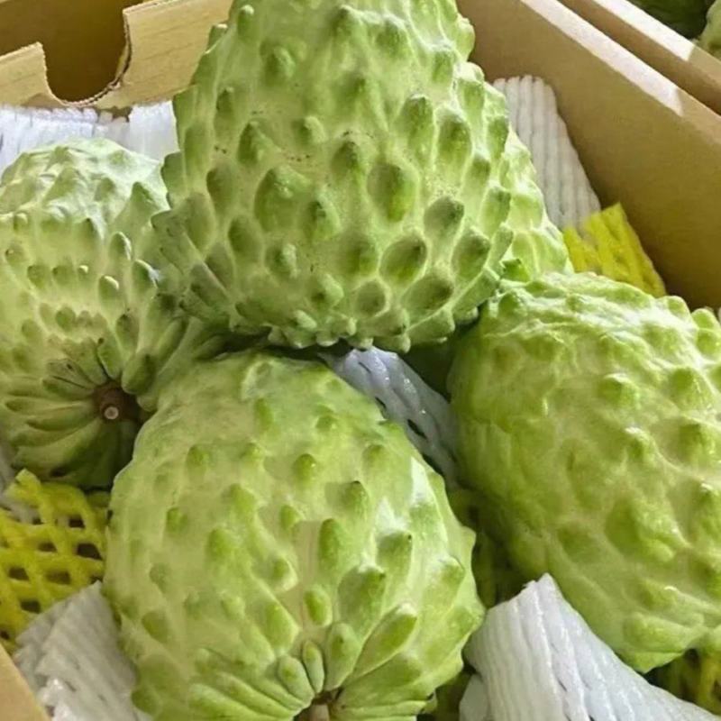 广西应季凤梨释迦果个大果皮干净果肉饱满绵密纯甜无渣欢迎和