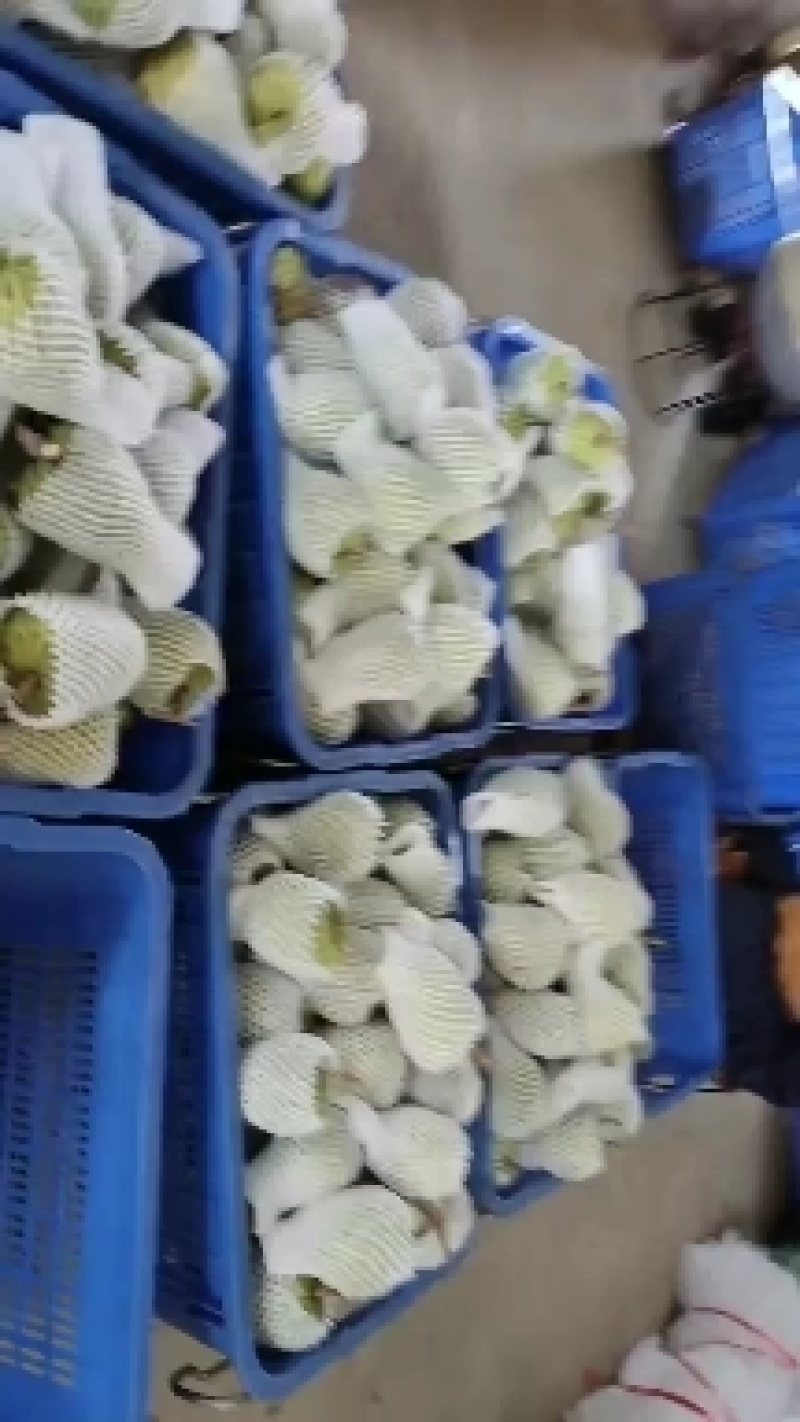 广西应季凤梨释迦果个大果皮干净果肉饱满绵密纯甜无渣欢迎和