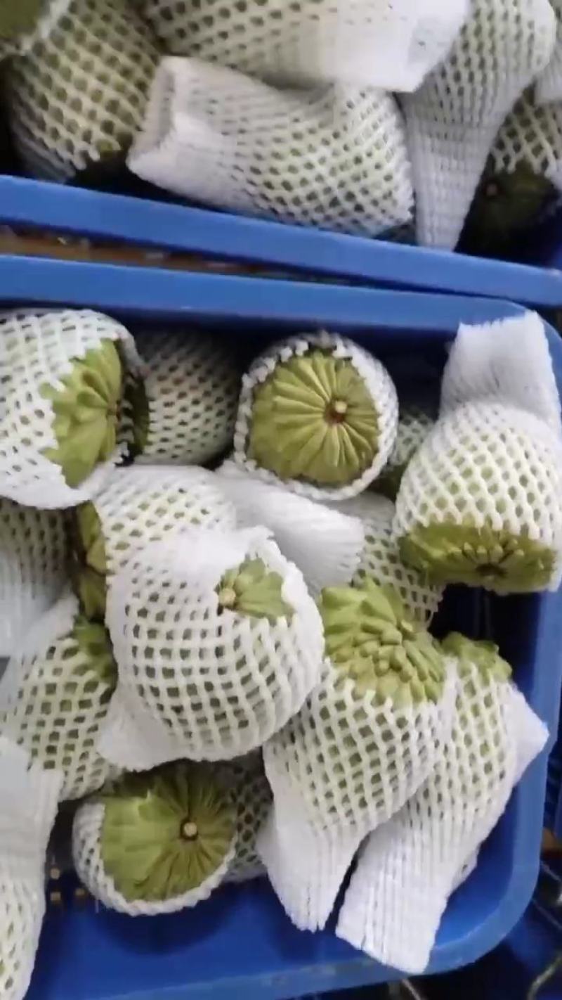 广西应季凤梨释迦果个大果皮干净果肉饱满绵密纯甜无渣欢迎和