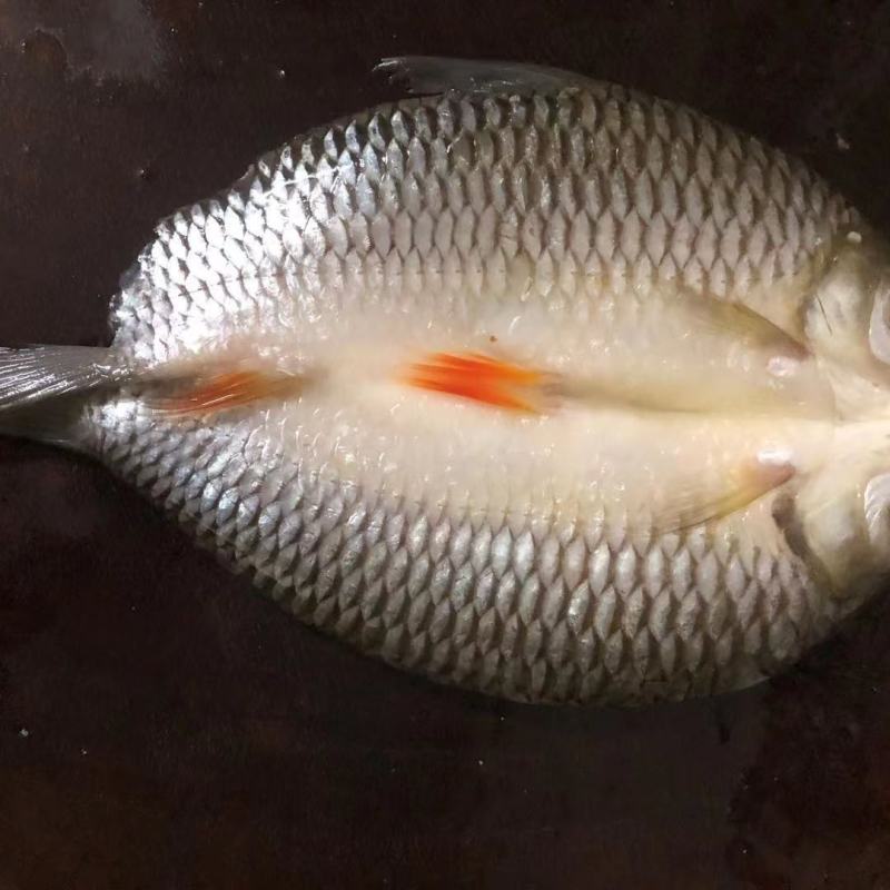 苏丹鱼马来西亚皇帝鱼酒楼酒店商用冷冻苏丹鱼鱼500g新鲜