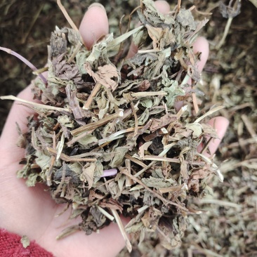 薄荷，无硫货干，味道浓，一手货源，保质保量
