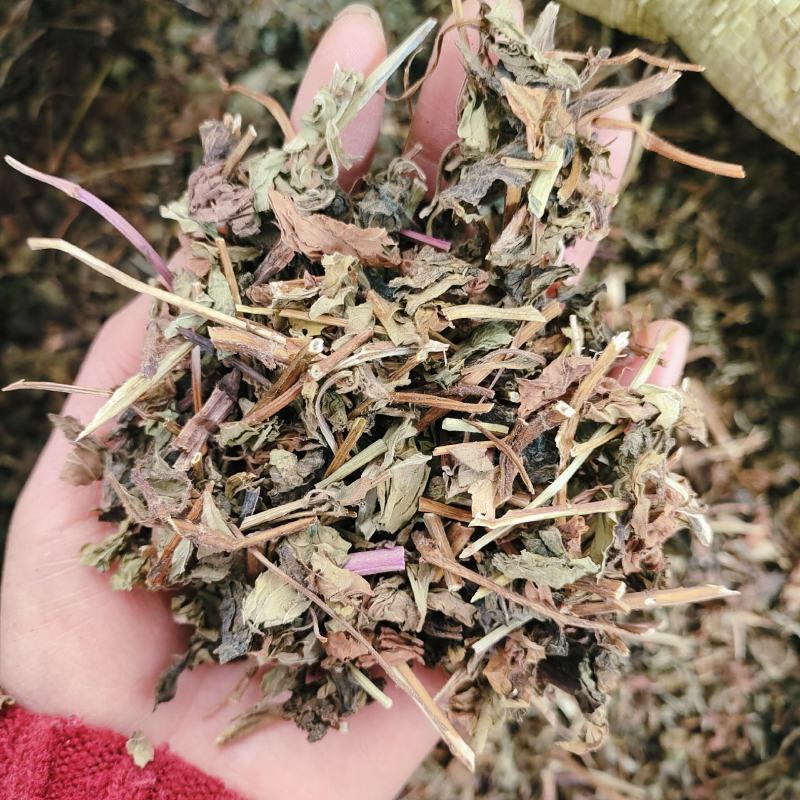 薄荷，无硫货干，味道浓，一手货源，保质保量