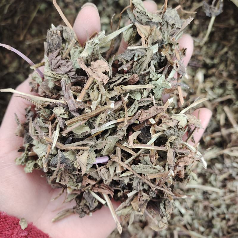薄荷，无硫货干，味道浓，一手货源，保质保量