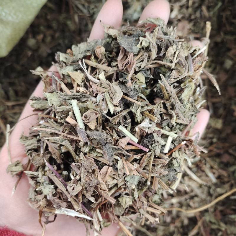 薄荷，无硫货干，味道浓，一手货源，保质保量