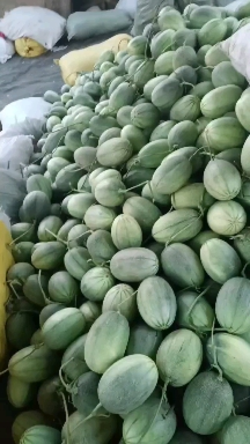 哈密25号玉姑，玫珑，金香玉，凤金6号，