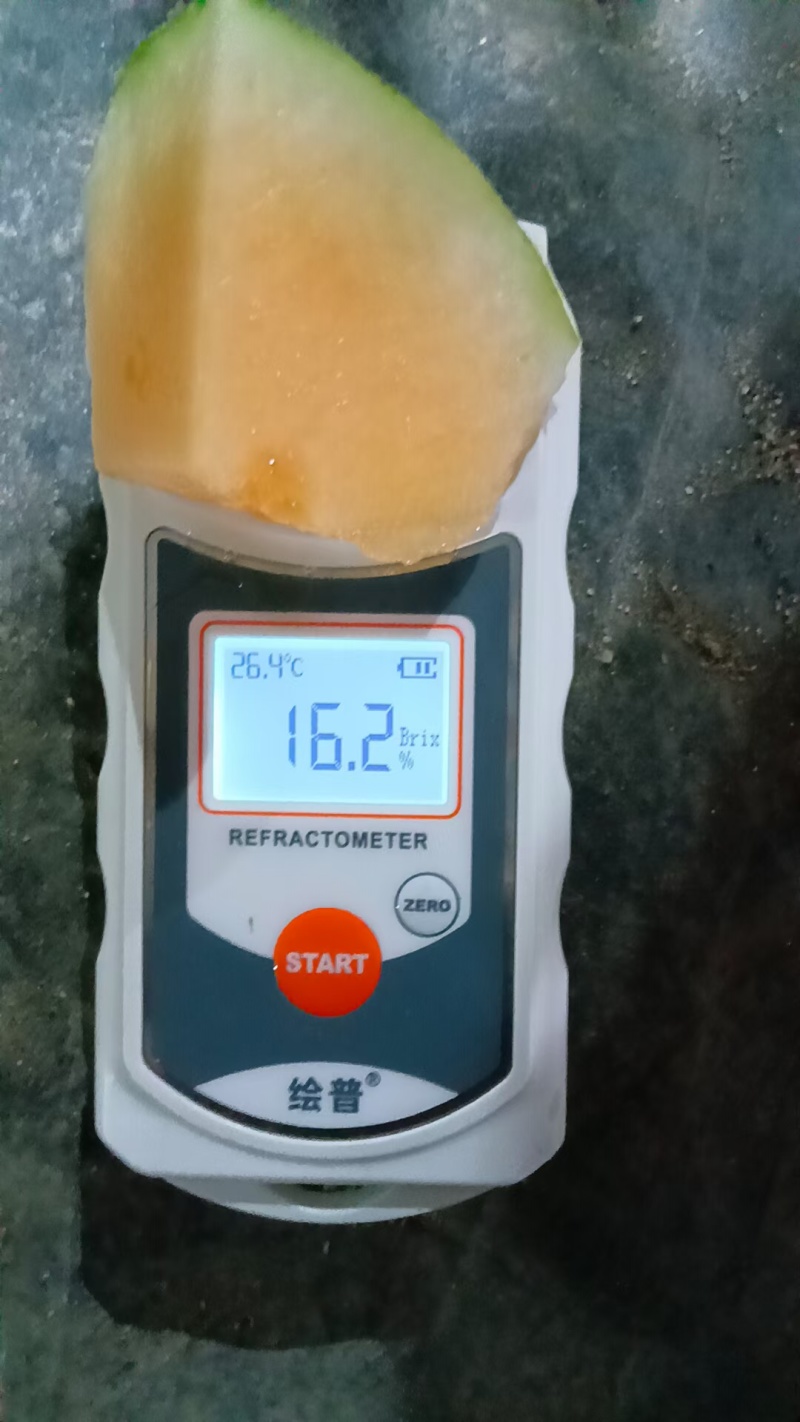 哈密25号玉姑，玫珑，金香玉，凤金6号，