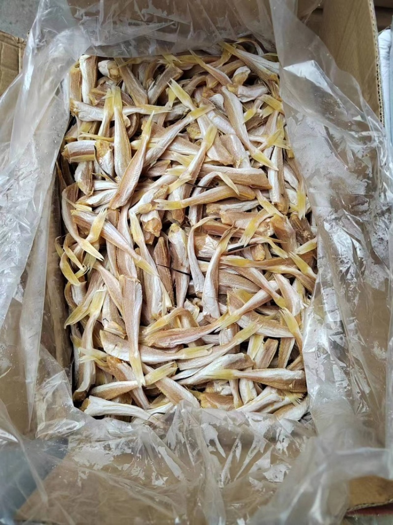 地摊，跑江湖，超市特价角肉