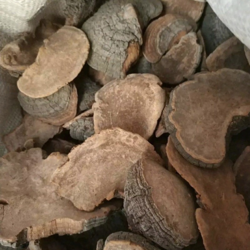 振兴药材批发槐肉一手货源批发