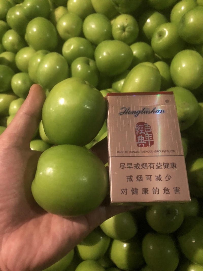 云南特产青枣