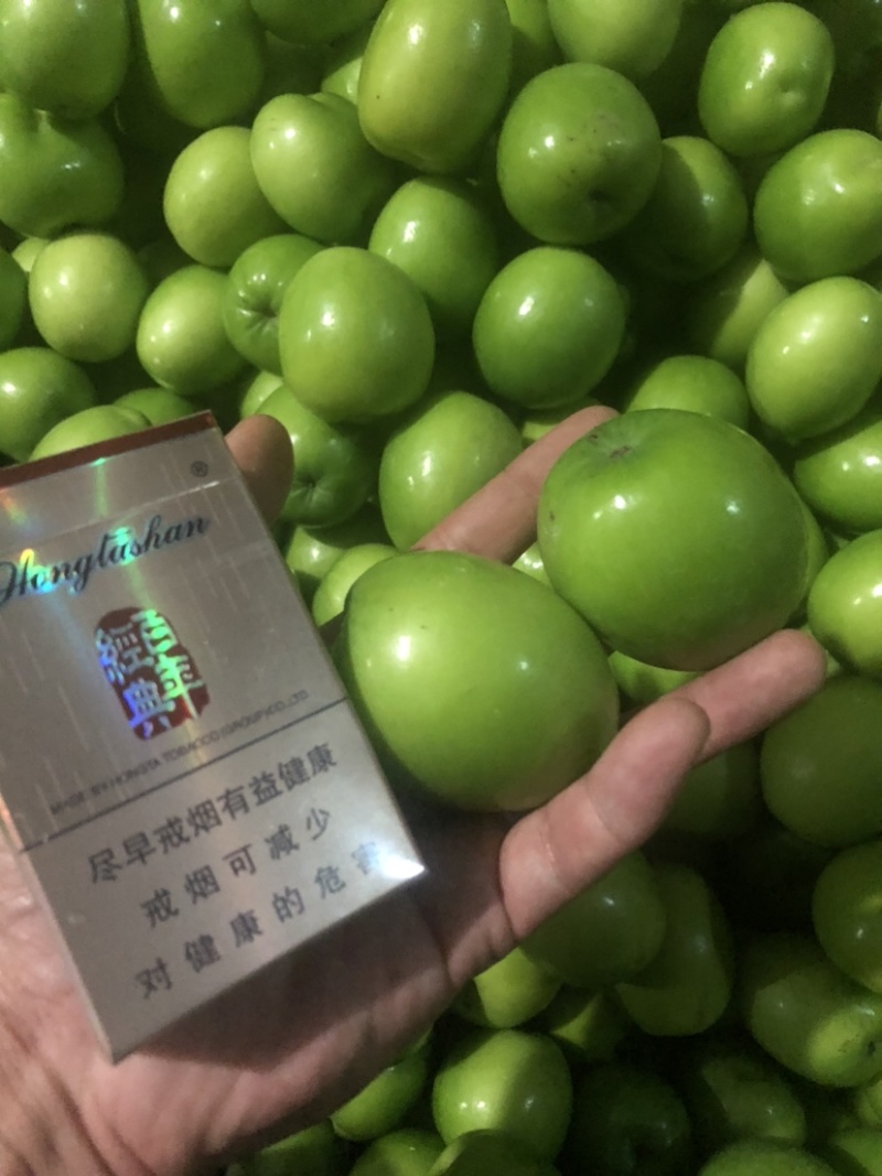 云南特产青枣