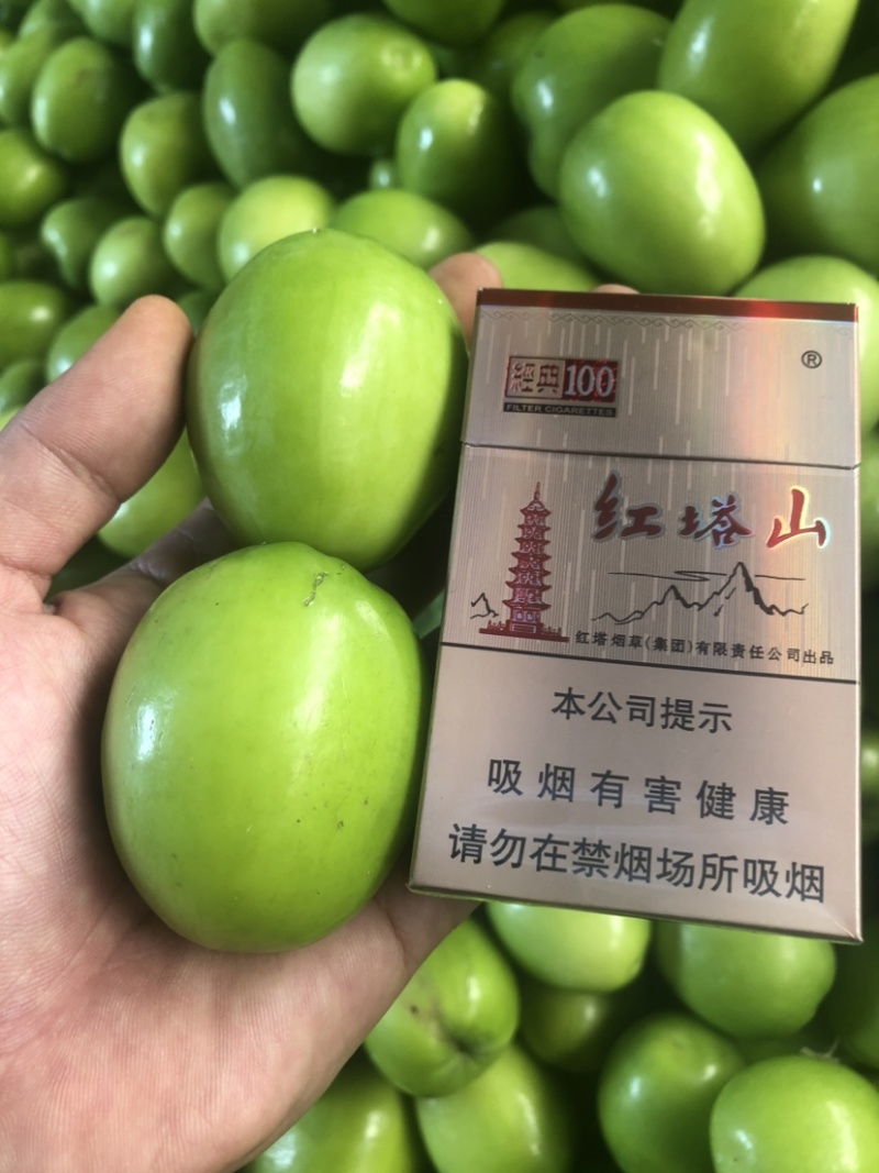 云南特产青枣