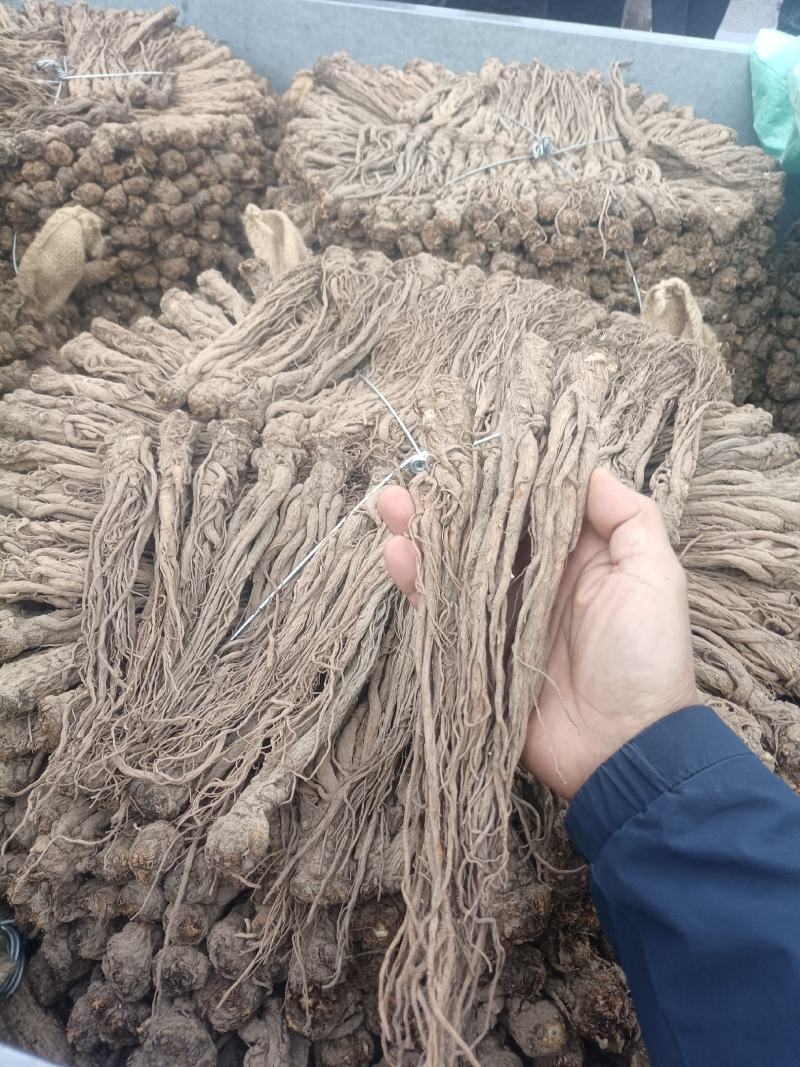 甘肃岷县【包邮】风干无硫当归产地一手货源量大从优