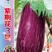 紫荆花3号茄子种子果长15-18cm，粗径8cm春秋栽培
