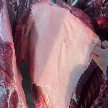 带皮鲜冻驴肉干货肉质好真空小包装发全国