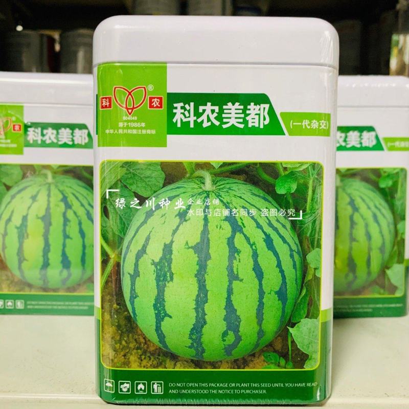 科农美都西瓜种子大果圆形大红瓤西瓜种籽甜而多汁一代杂交