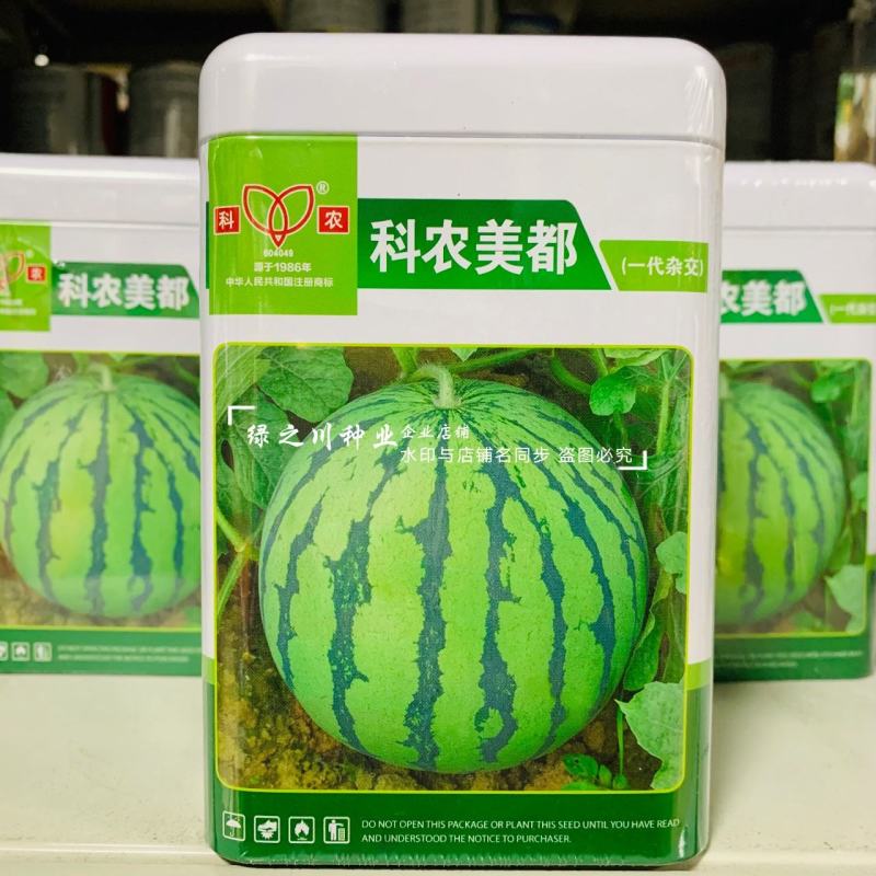 科农美都西瓜种子大果圆形大红瓤西瓜种籽甜而多汁一代杂交