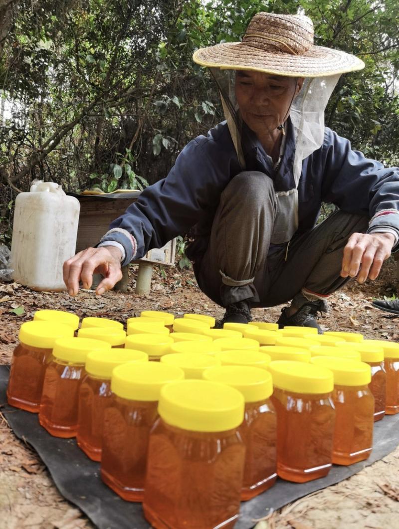 【推荐】广西苍梧野生蜂蜜，深山放养，营养丰富，支持视频看货