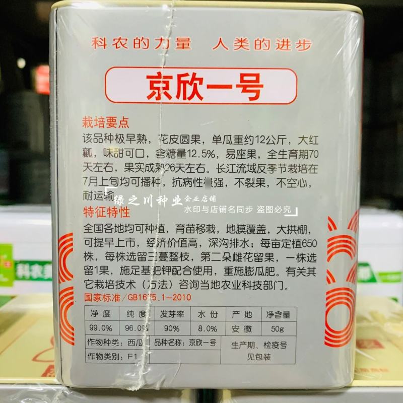 京欣一号西瓜种子大红瓤耐裂花皮圆形西瓜特早熟西瓜种籽大果