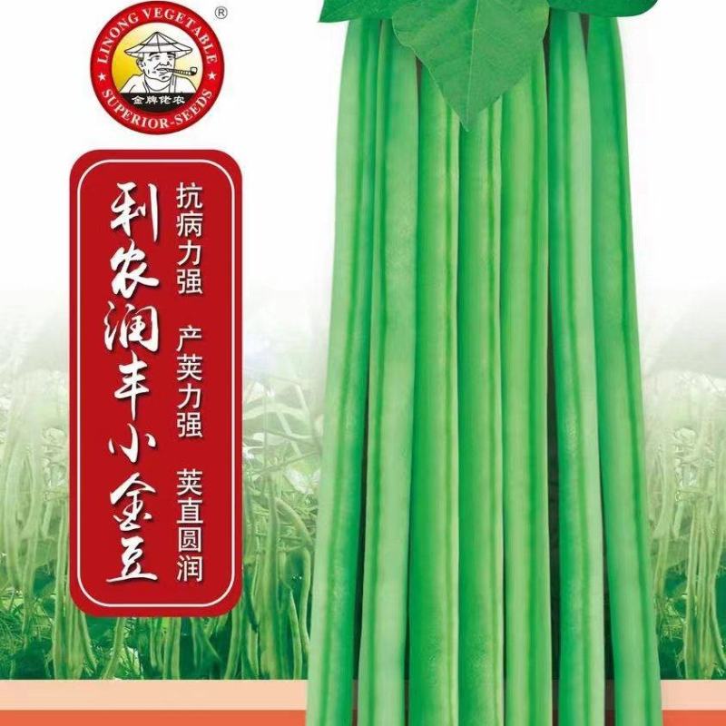 小金豆种子利农润丰小金豆荚直圆润结荚力强产量高抗病