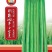 小金豆种子利农润丰小金豆荚直圆润结荚力强产量高抗病