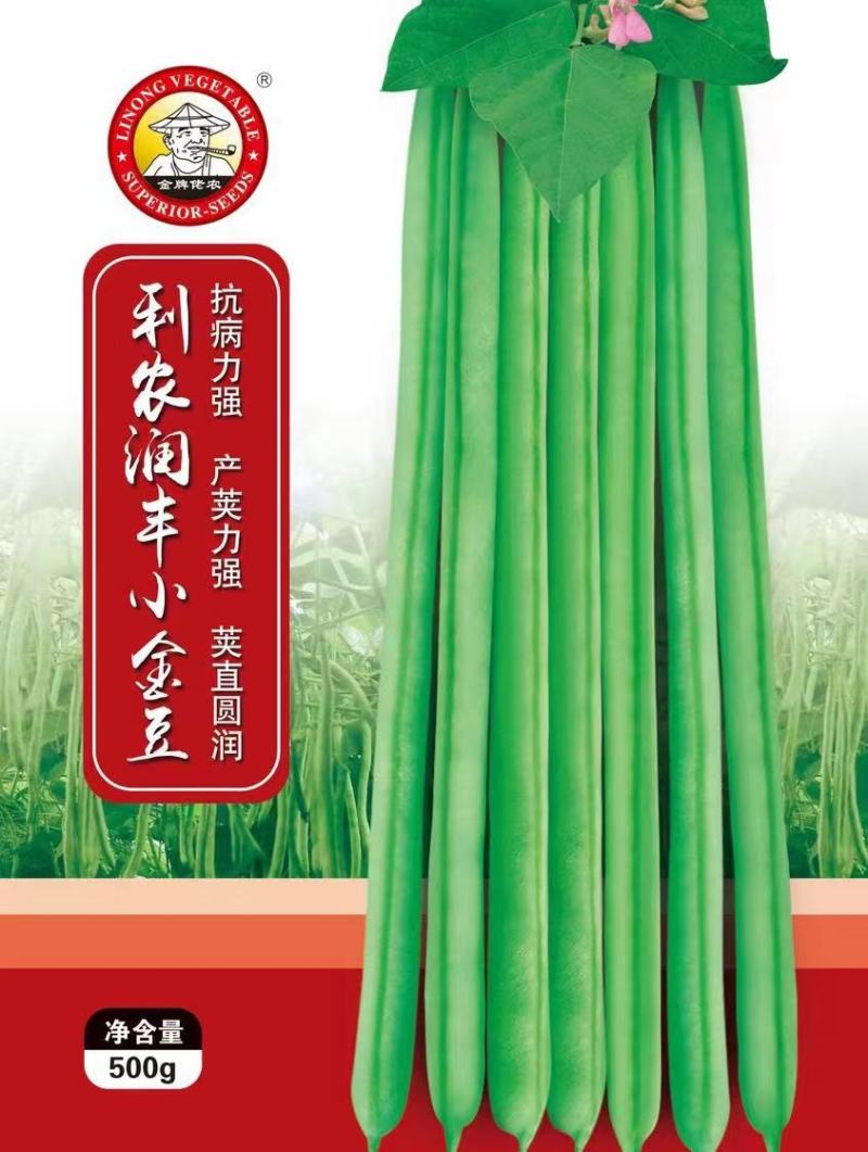 小金豆种子利农润丰小金豆荚直圆润结荚力强产量高抗病