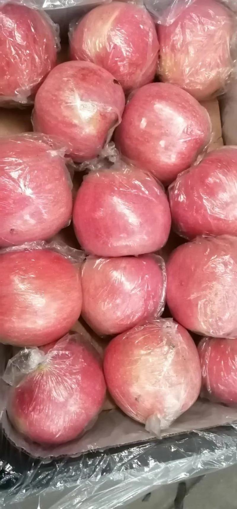 精品苹果山西运城红富士苹果条红一手货源产地发货坏果包赔
