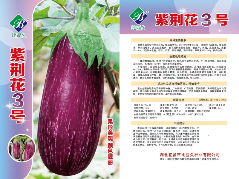 紫荆花3号茄子种子果长15-18cm，粗径8cm春秋栽培