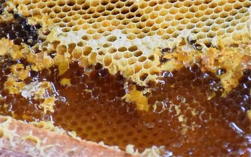 深山野蜂蜜，产地直发，自产自销，品质保证欢迎采购