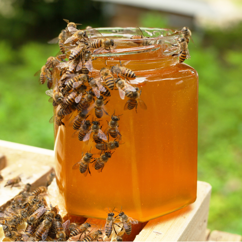 深山野蜂蜜，产地直发，自产自销，品质保证欢迎采购