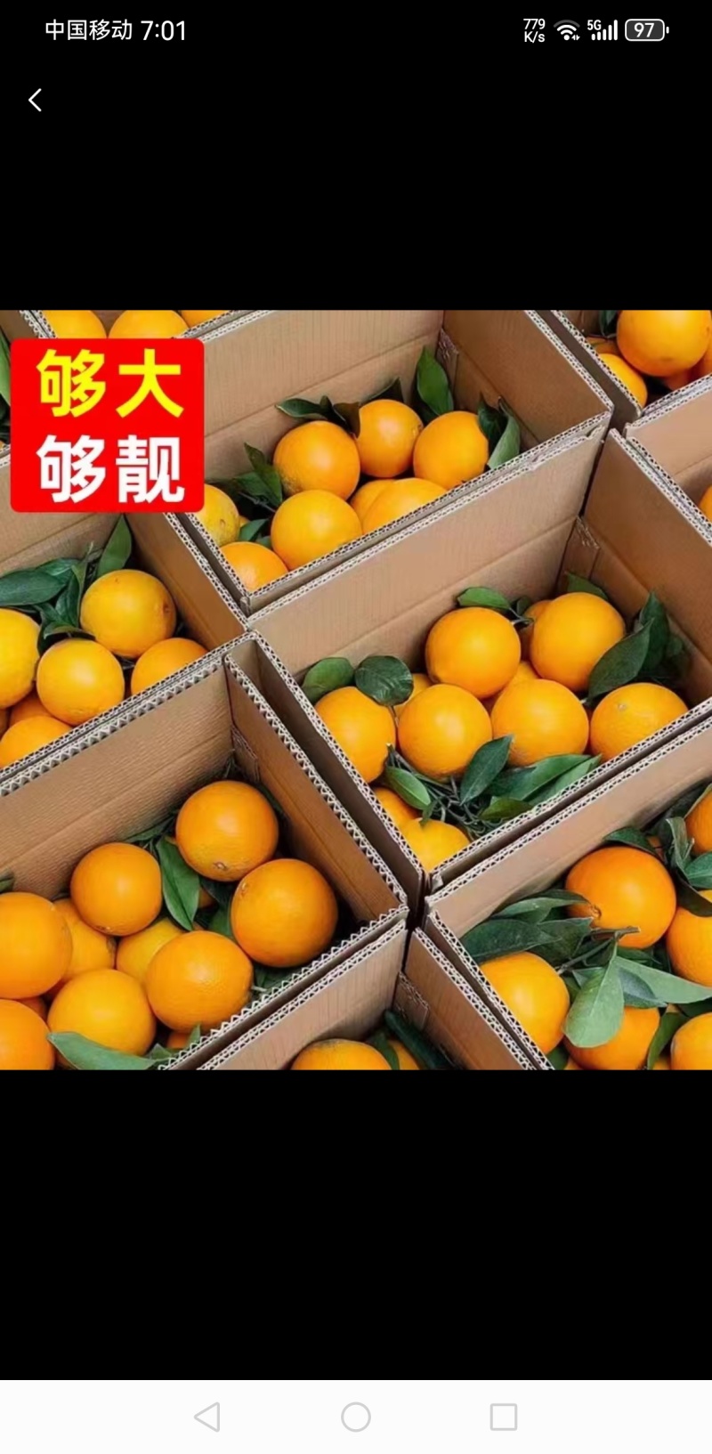 赣南脐橙