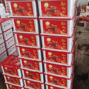 四川耙耙柑大量上市。口感好，颜色好，大，基地货源充足，