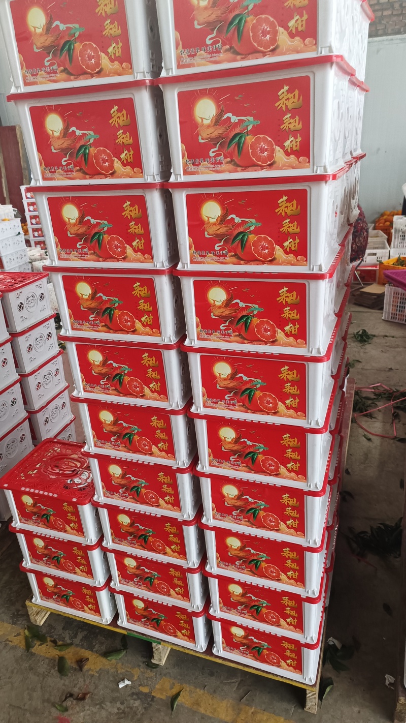 四川耙耙柑大量上市。口感好，颜色好，大，基地货源充足，